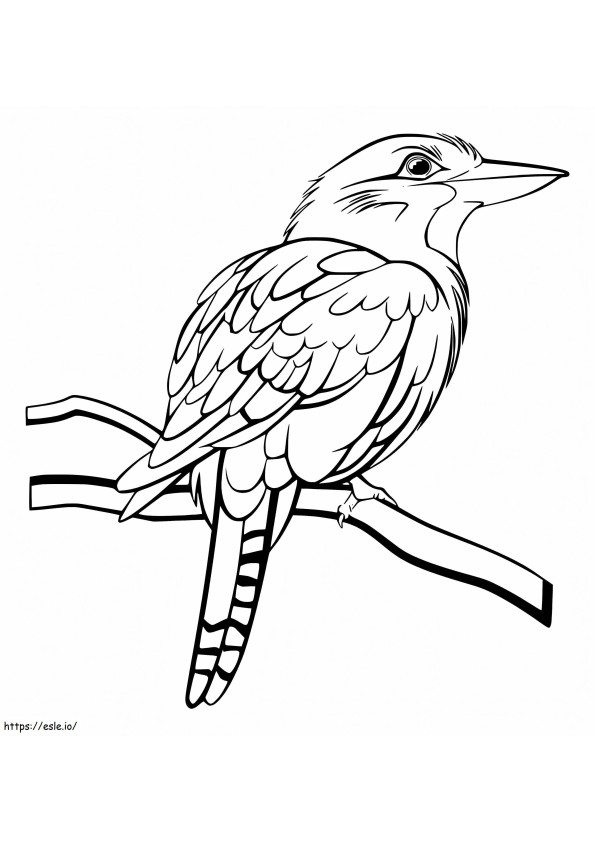 Kookaburra oksalla värityskuva