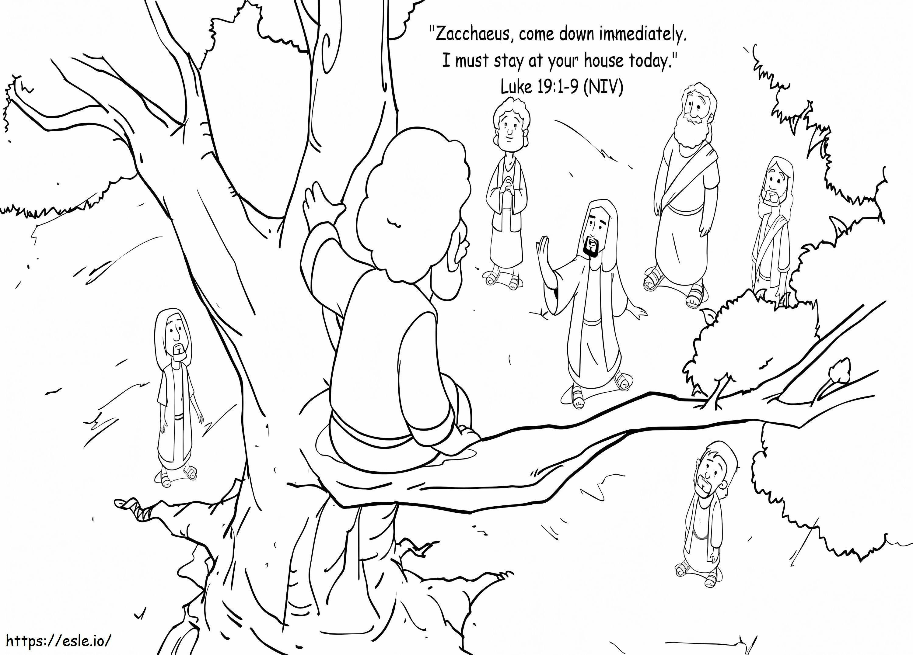 Isus pe copac și Zaheu 2 de colorat