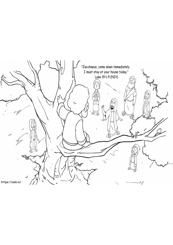 Jeesus puussa ja Sakkeus 2 värityskuva