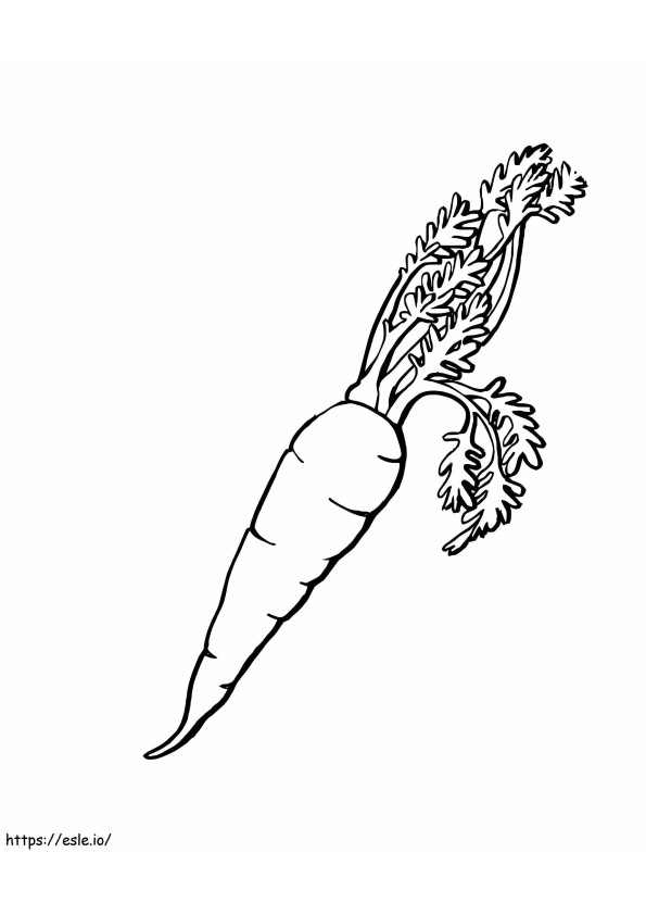 Basic Carrot coloring page