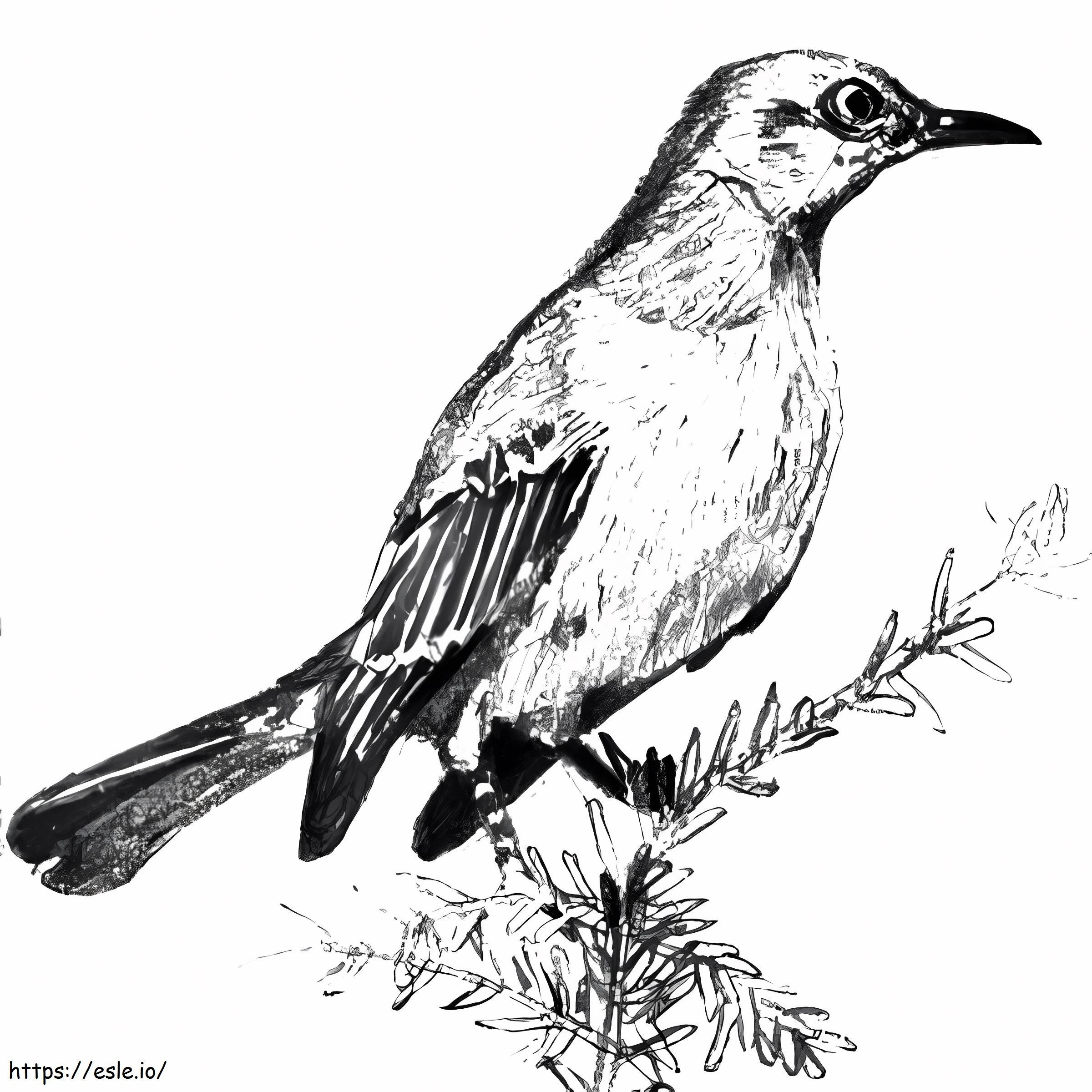 Kuva Nightingalesta värityskuva