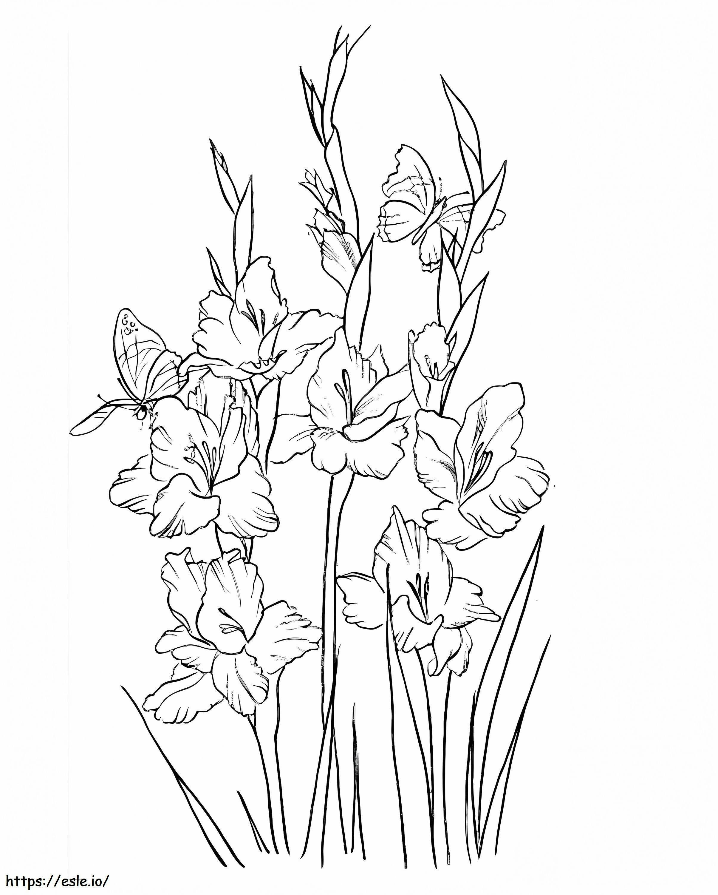 Gladiolenbloemen 13 kleurplaat kleurplaat
