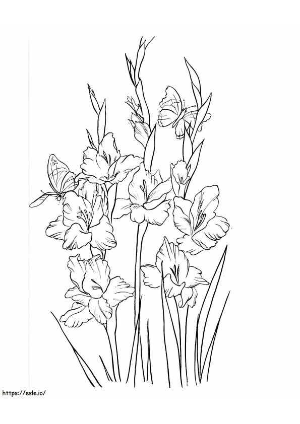 Flores de gladiolo 13 para colorear