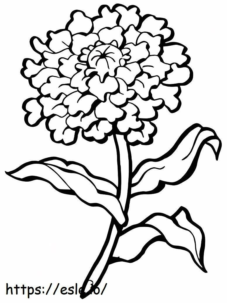 Hard Carnation coloring page