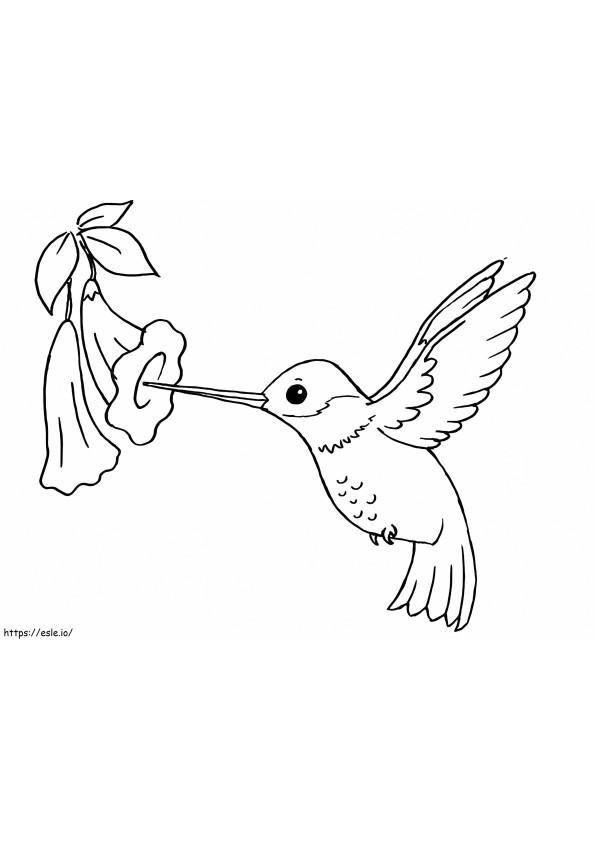 Coloriage Colibri normal avec fleur à imprimer dessin