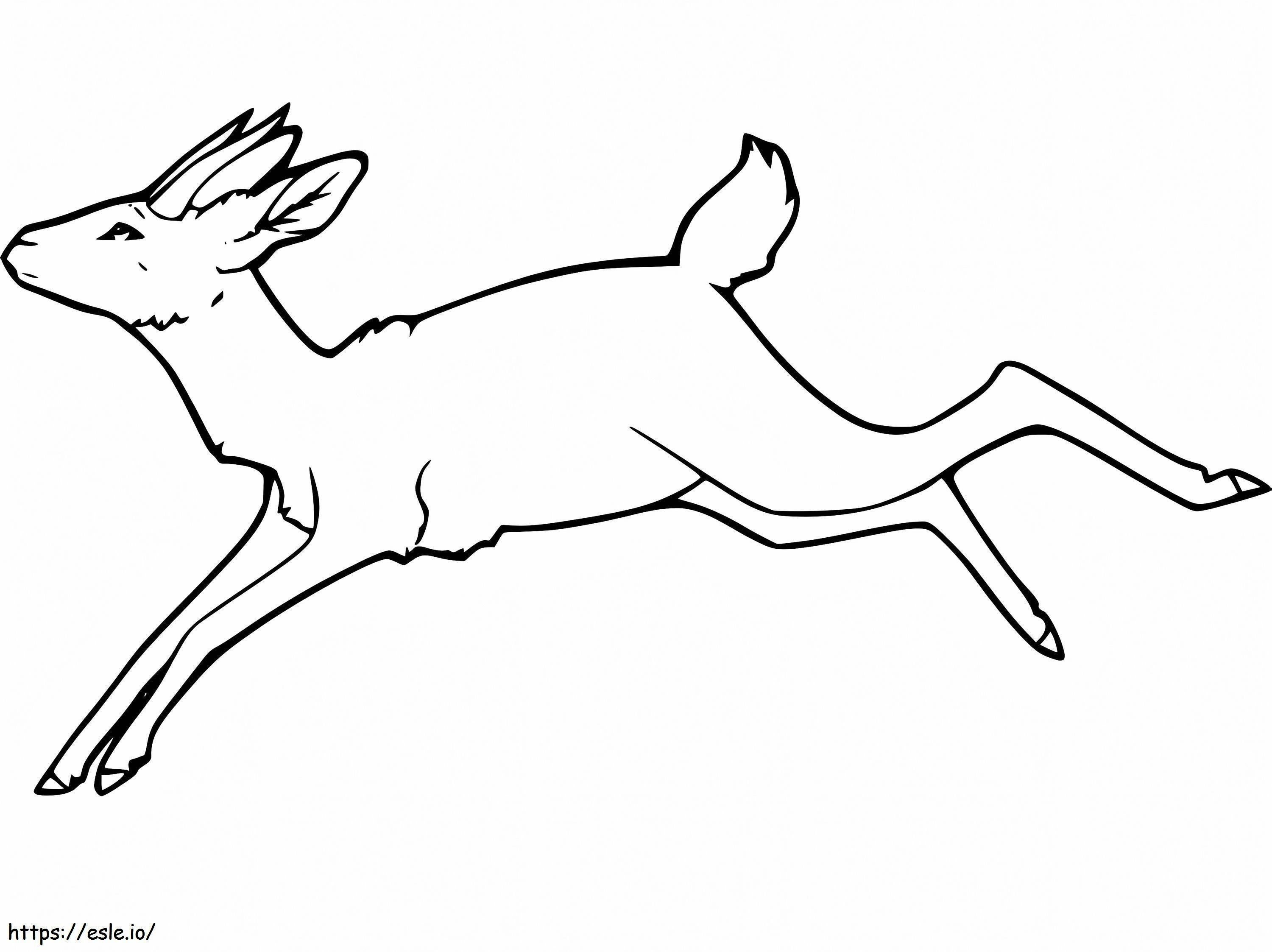 Gazelle alergând de colorat