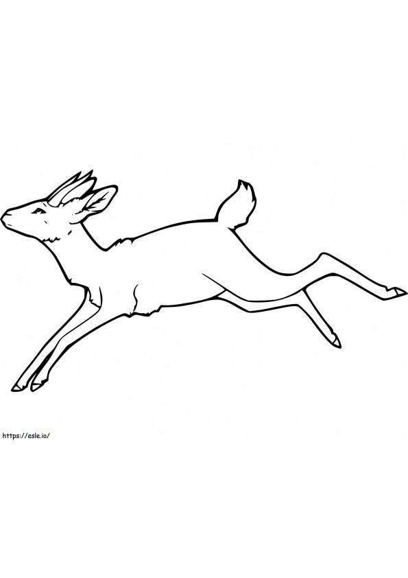 Gazelli juoksee värityskuva