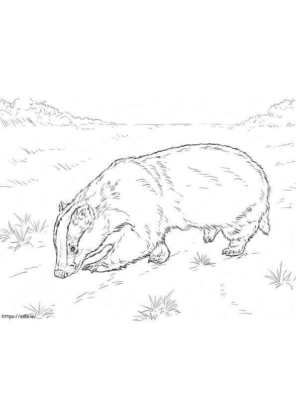 Badger On Ground coloring page