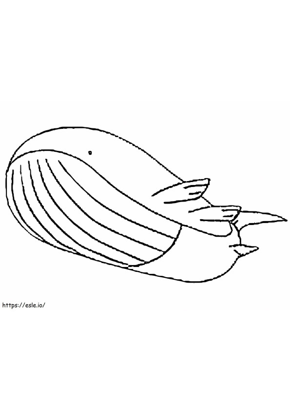 Pokemon Wailord stampabile