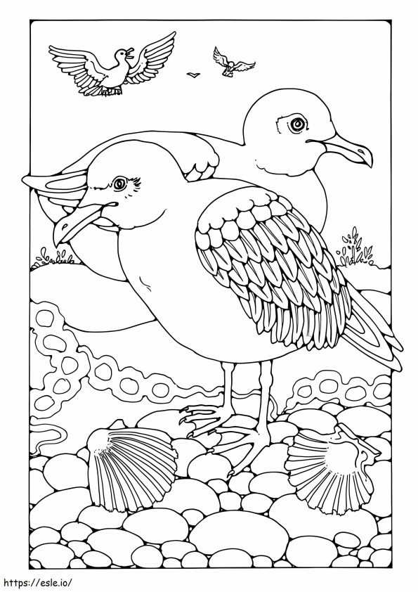 Coloriage Mouettes oiseaux à imprimer dessin