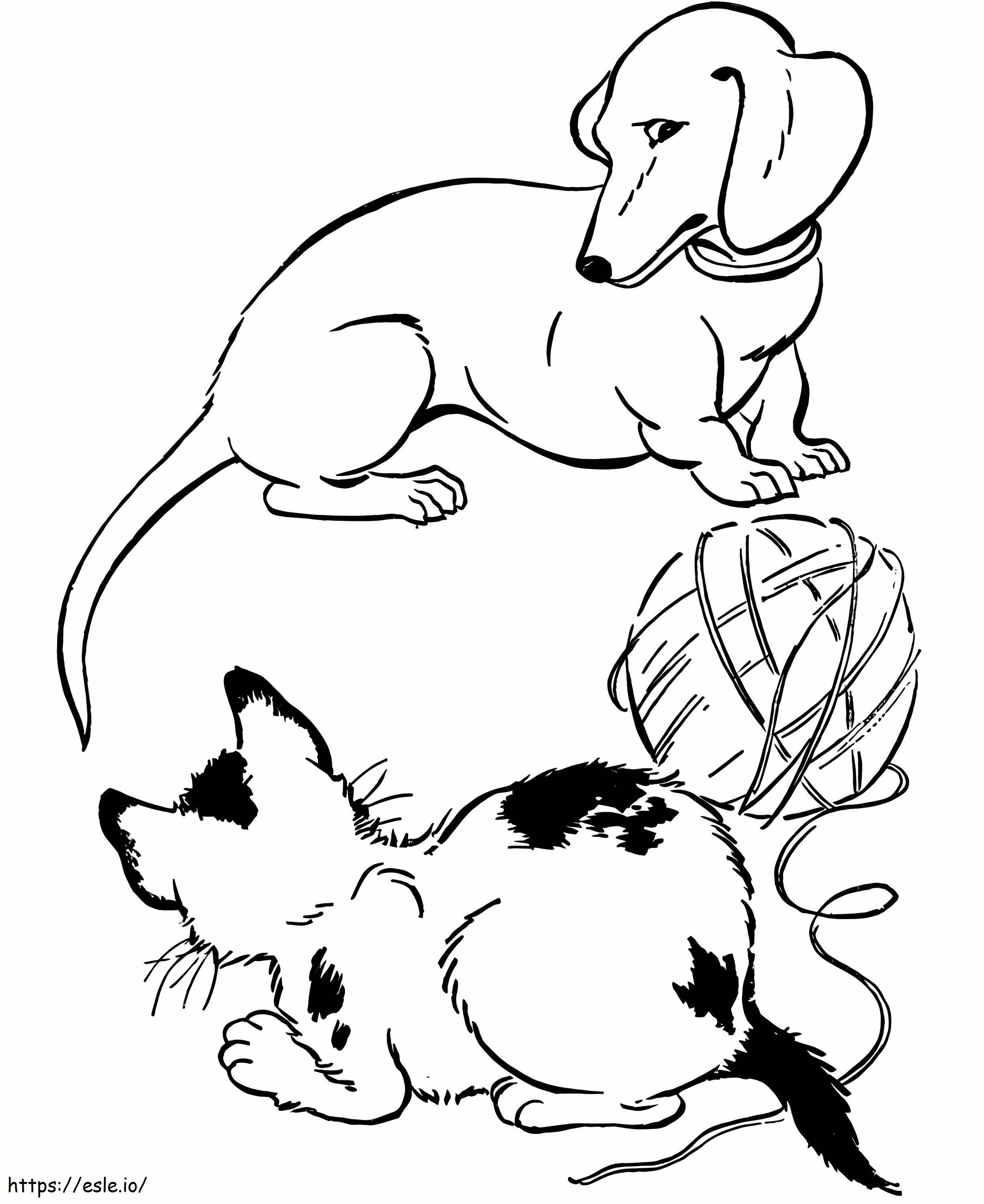 Dachshund And Cat coloring page