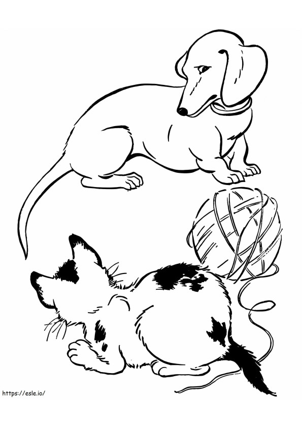 Coloriage Teckel et chat à imprimer dessin