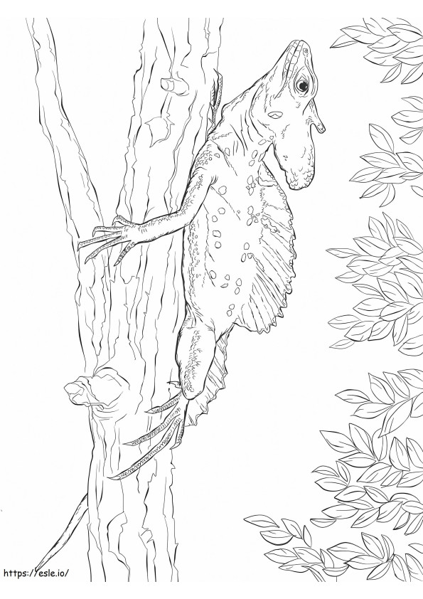 一般的なバジリスク トカゲ ぬりえ - 塗り絵