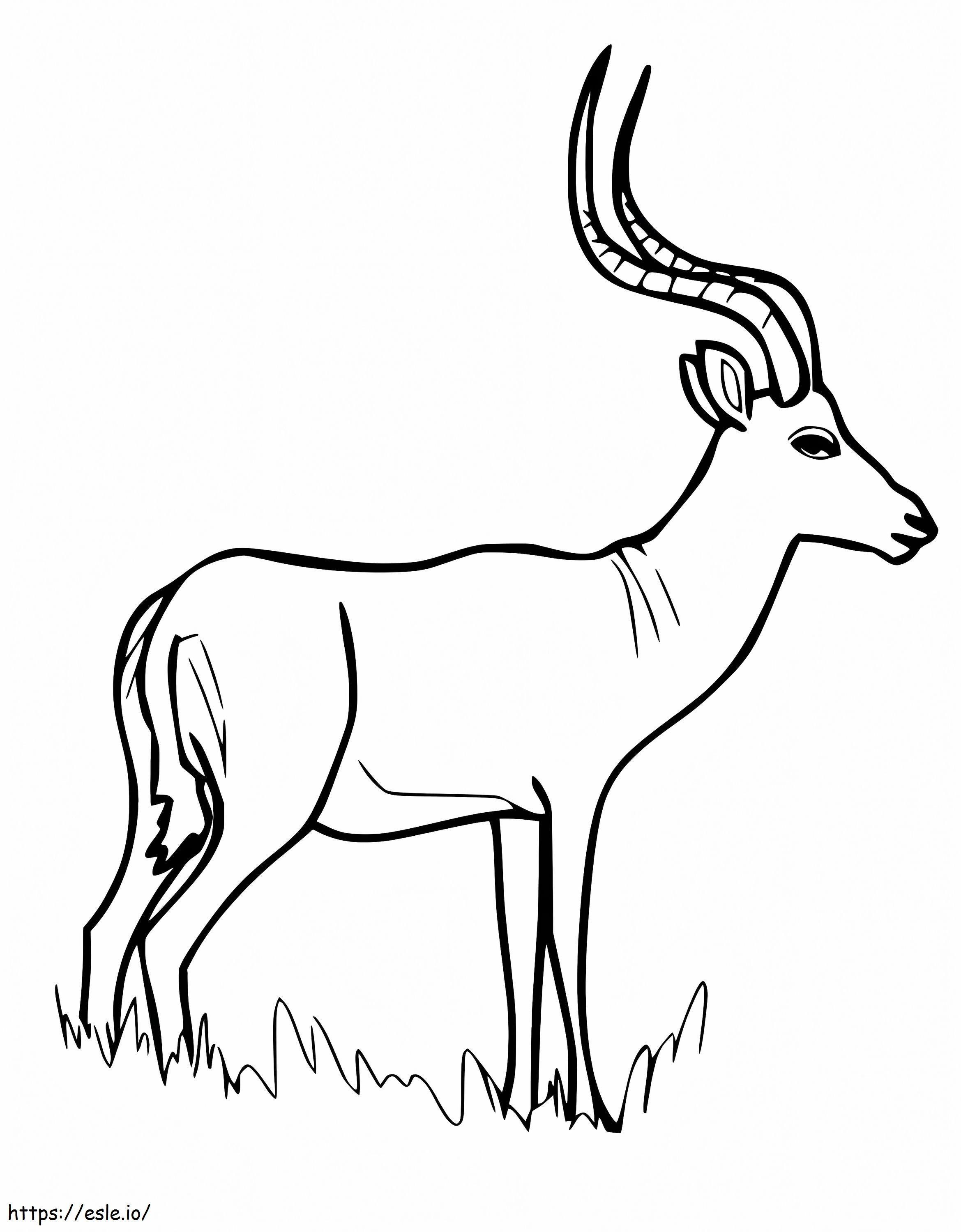 Coloriage Impala sauvage à imprimer dessin