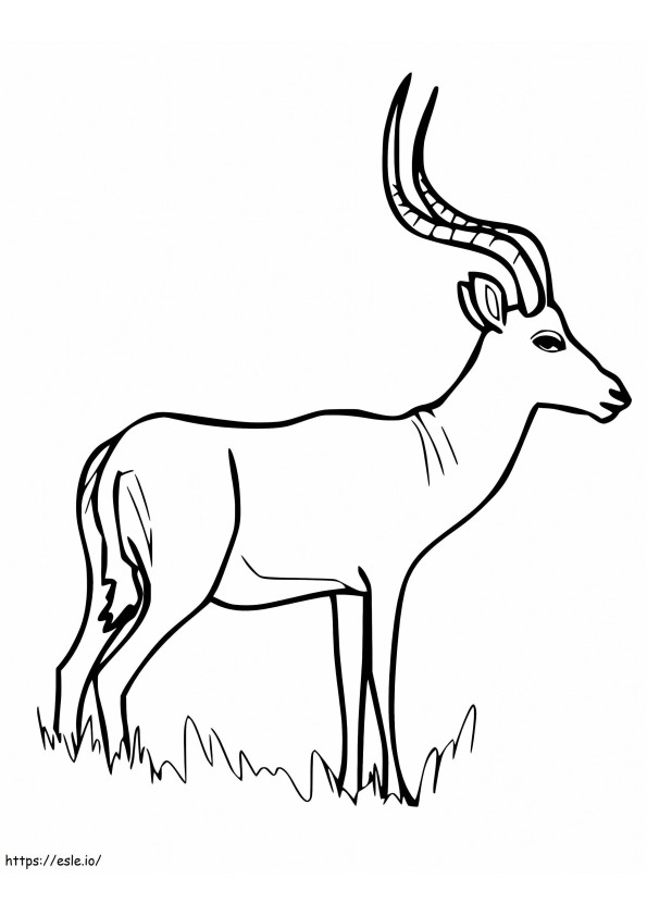 Wild Impala coloring page
