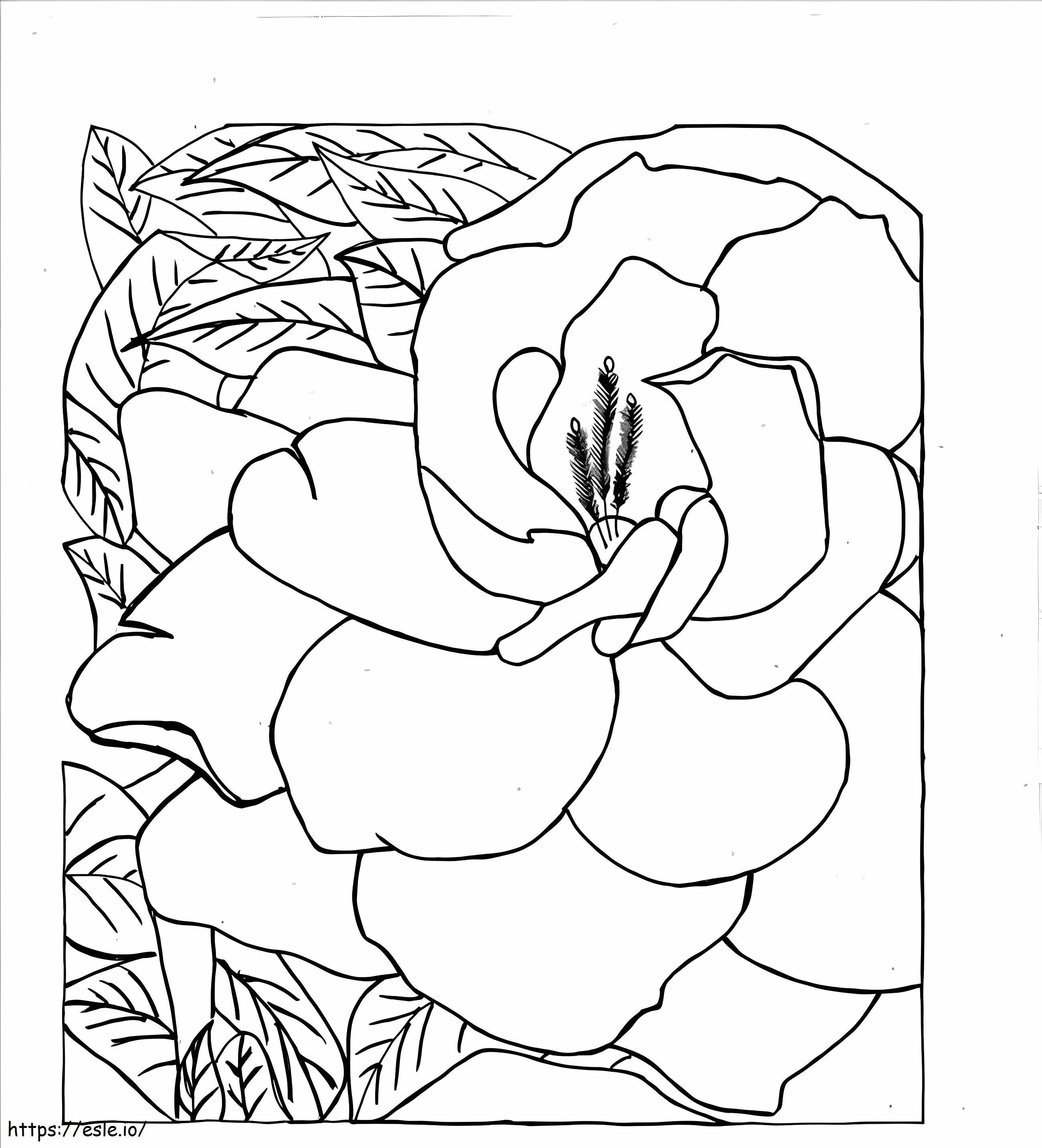 Gran Gardenia para colorear