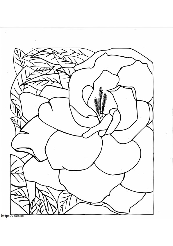 Gran Gardenia da colorare