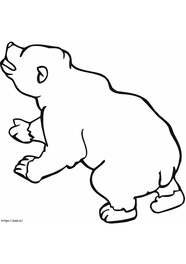 Ursul brun 6 de colorat