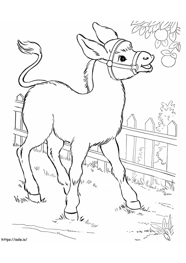 Donkey With Fruits coloring page