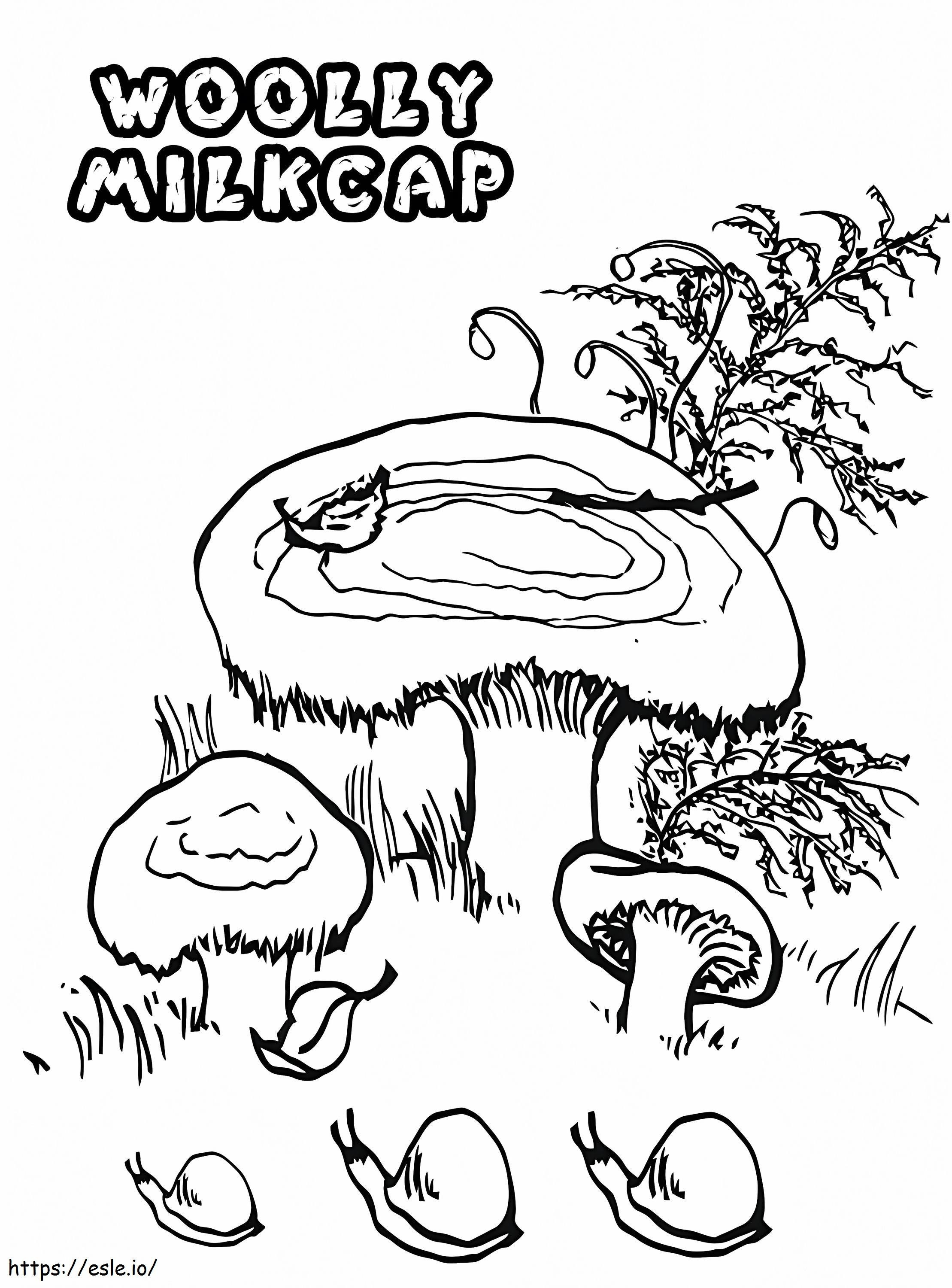 Cogumelos Milkcap Lanosos para colorir