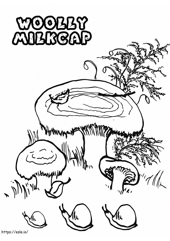 Cogumelos Milkcap Lanosos para colorir