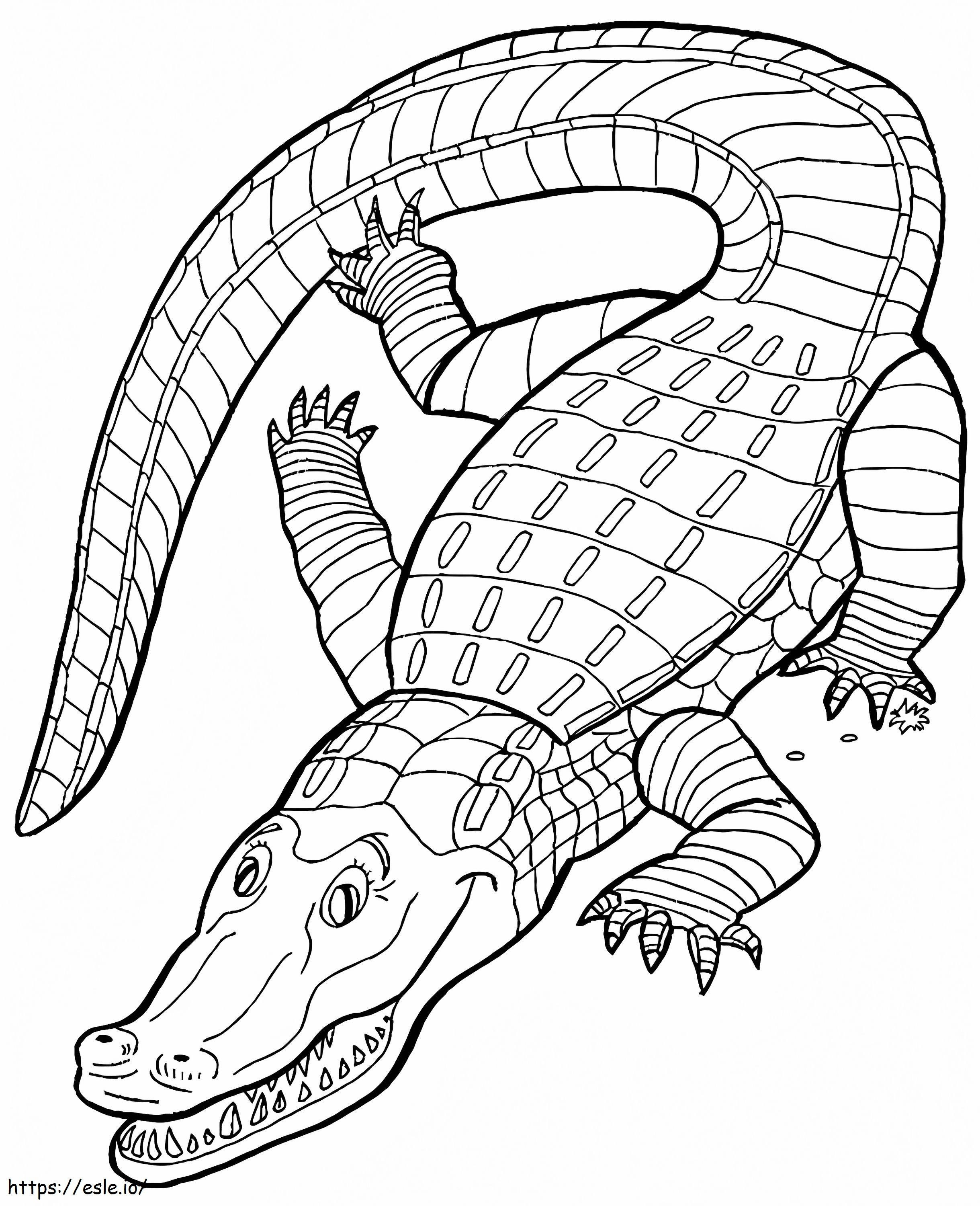 Yksinkertainen krokotiili värityskuva
