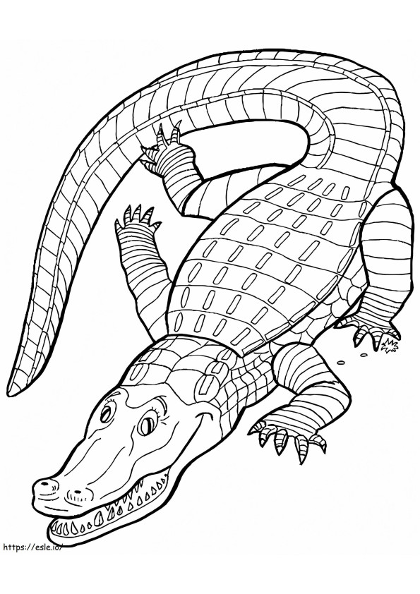 Egyszerű krokodil kifestő