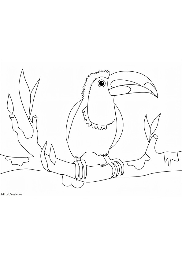 Pássaro tucano em um galho para colorir