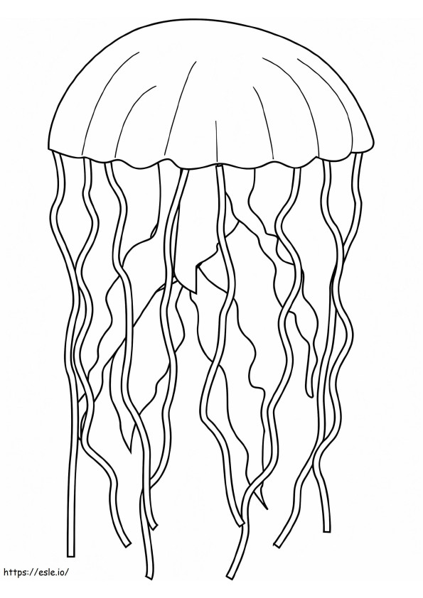Buona medusa da colorare