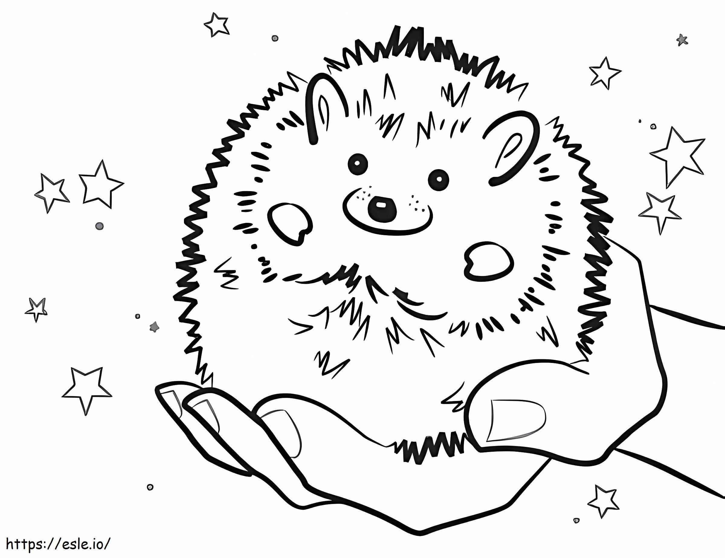 Hand Holding Hedgehog coloring page