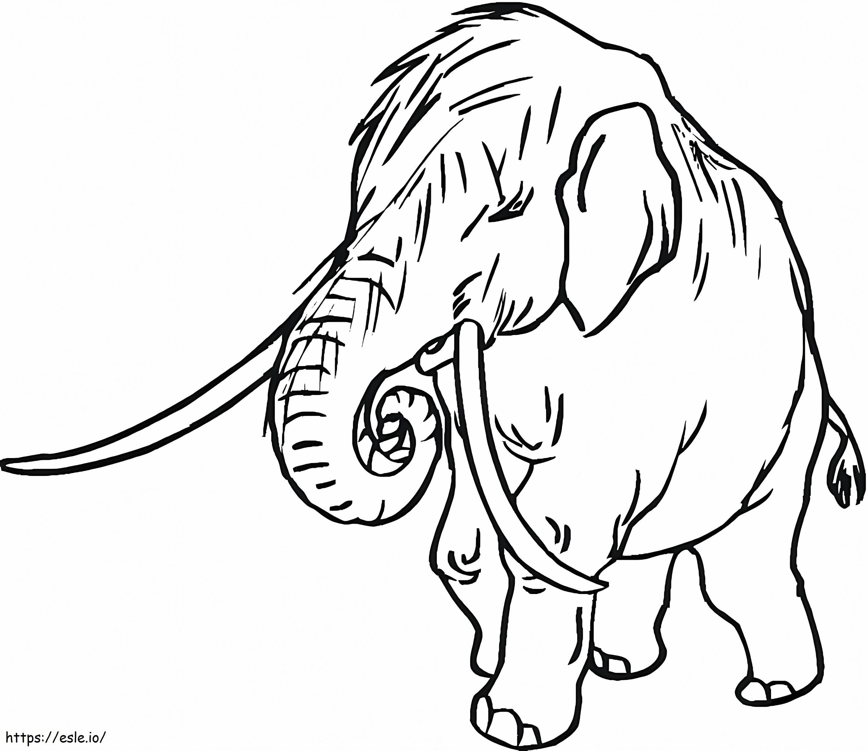 Coloriage Bébé mammouth à imprimer dessin