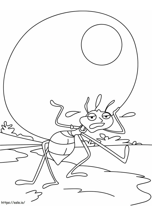 Free Photos Of Ants coloring page