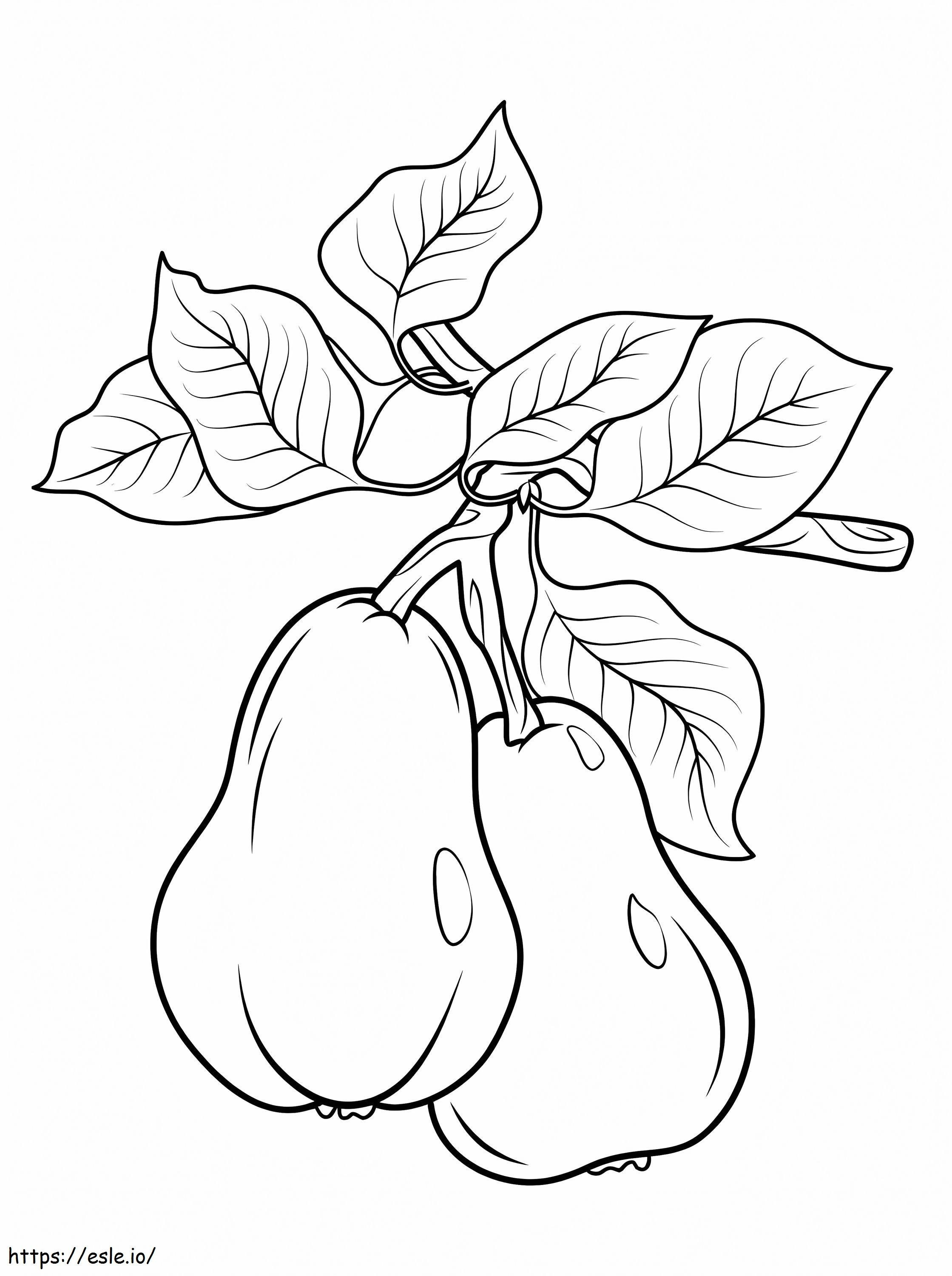 Pears On A Branch coloring page