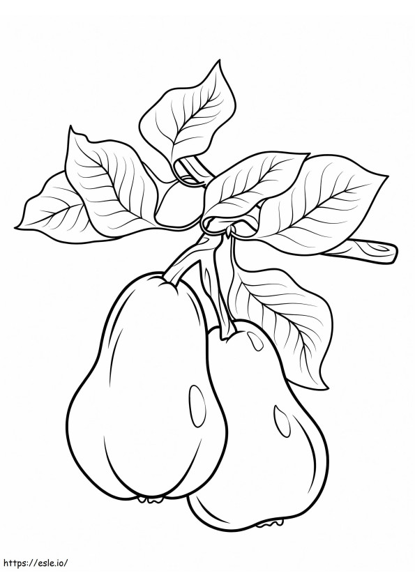 Päärynät oksalla värityskuva