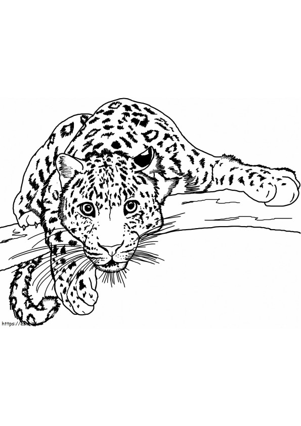 Leopardi oksalla värityskuva