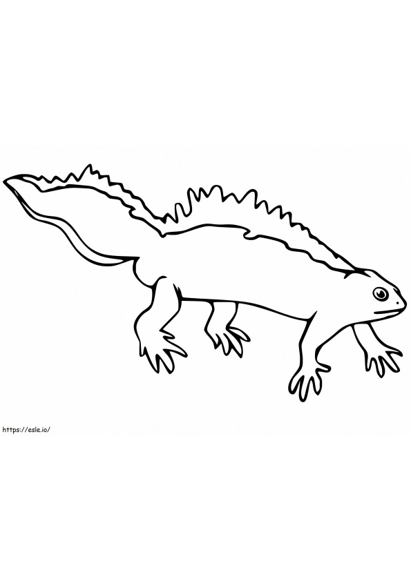 Newt Printable coloring page
