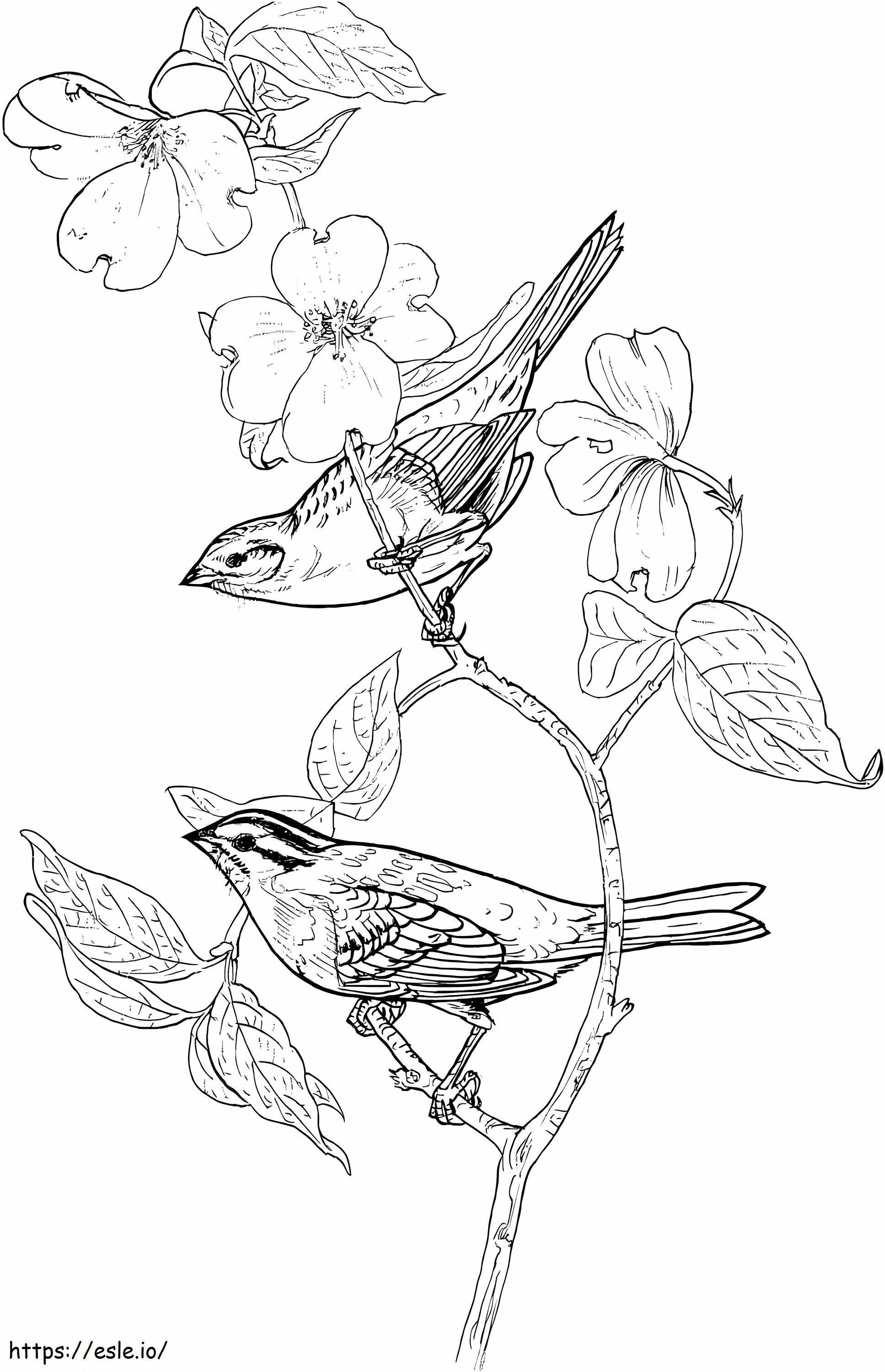 Two Sparrows coloring page