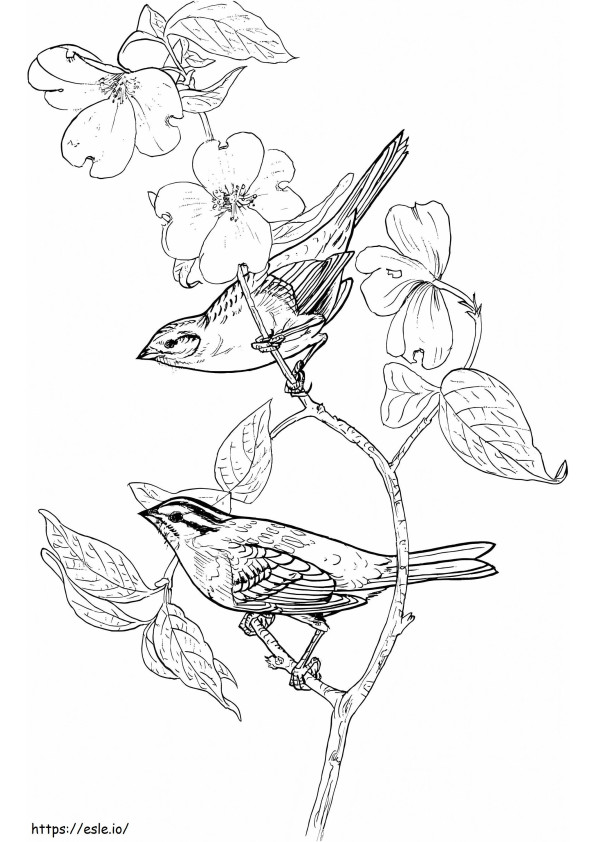 Two Sparrows coloring page