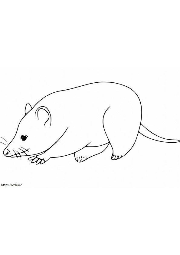 Adorable Opossum coloring page