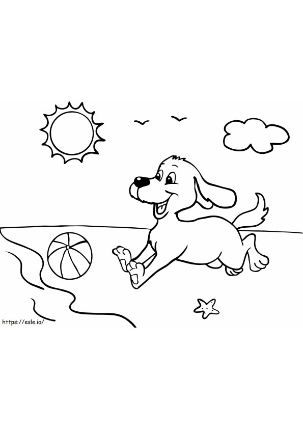 Hond speelt met de bal op het strand kleurplaat