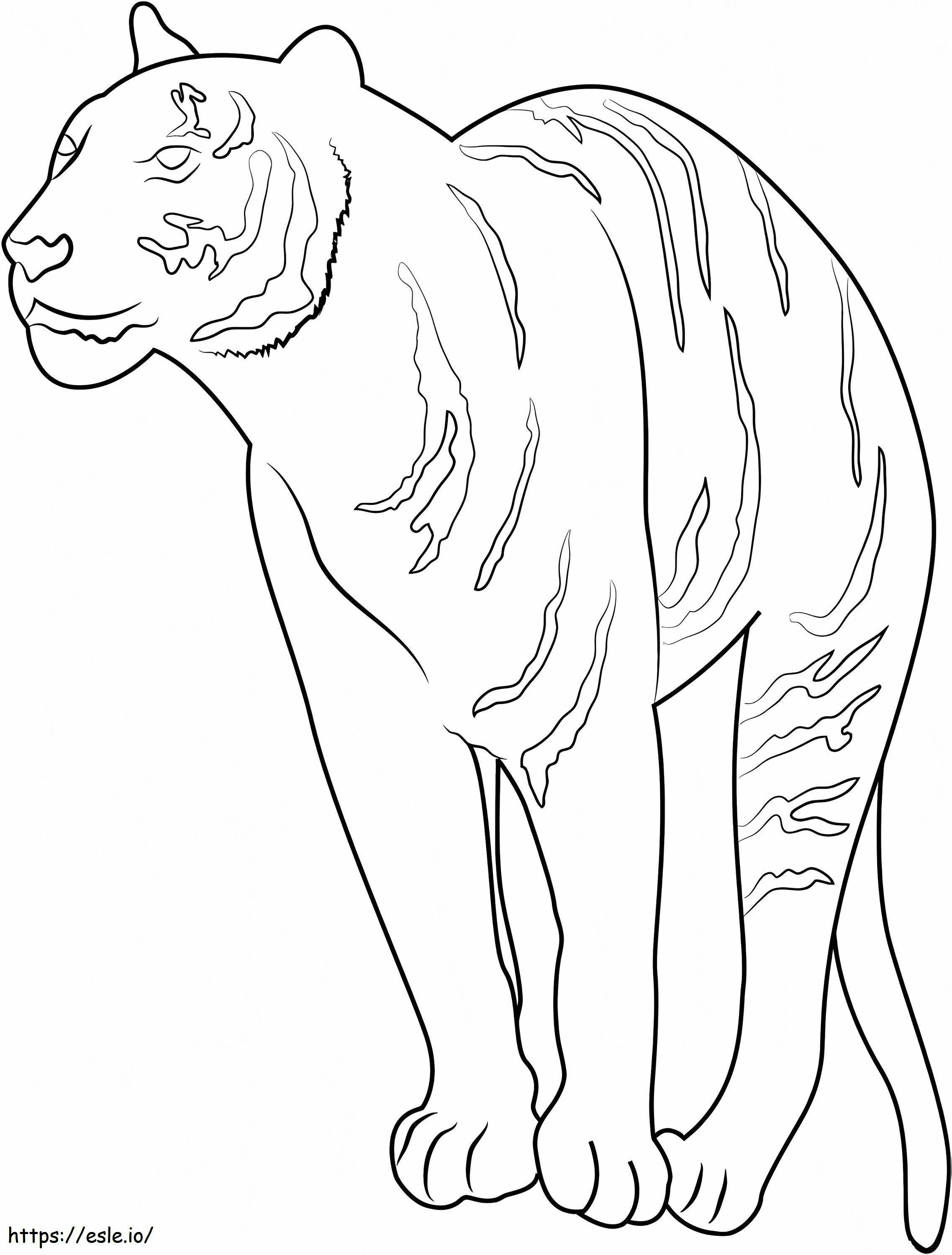 Tigre em pé para colorir