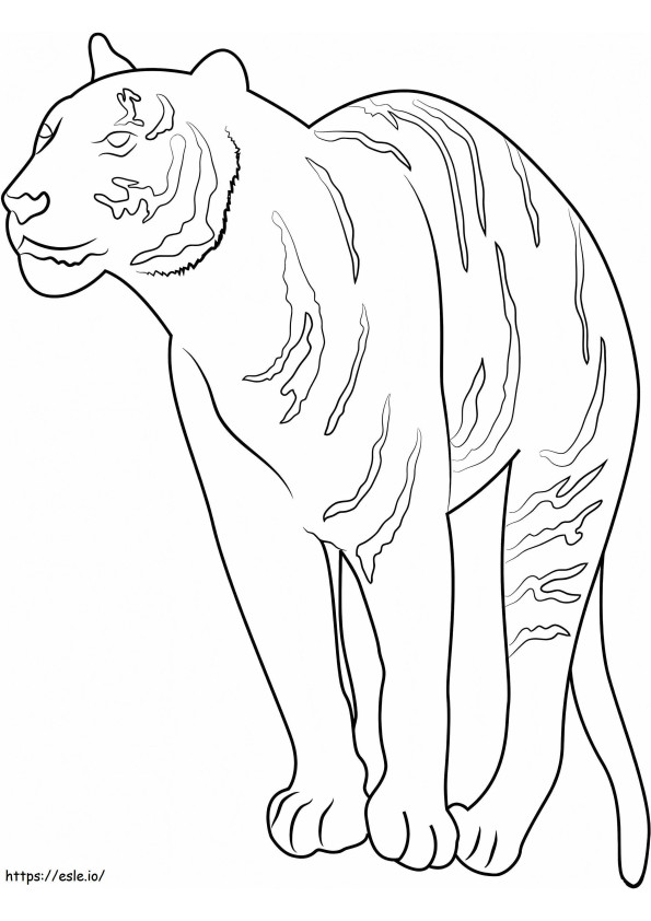 Tiger seisoo värityskuva