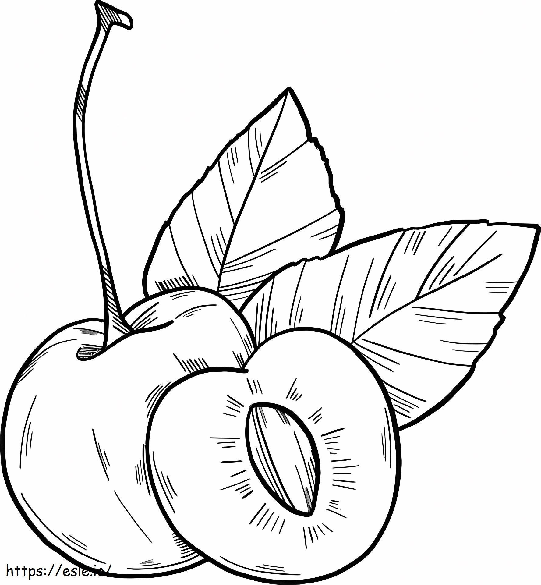 Hand Draw Apricot coloring page