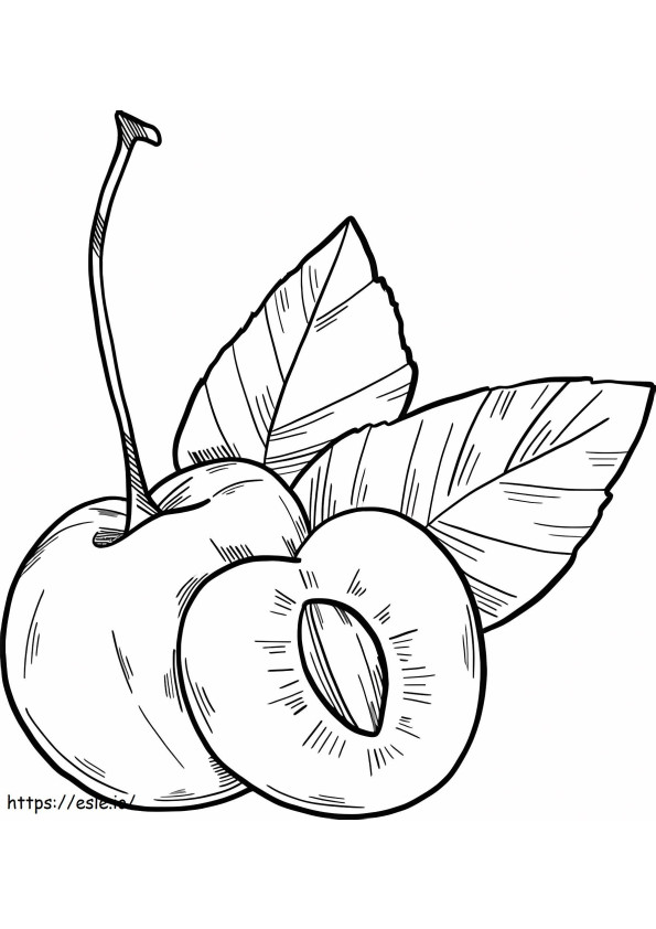 Hand Draw Apricot coloring page