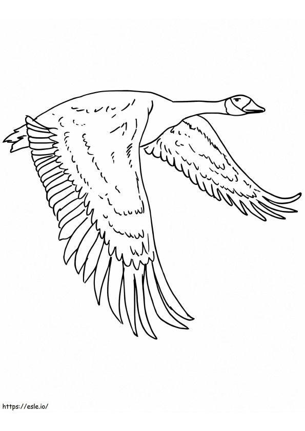 Coloriage Oie canadienne volant à imprimer dessin
