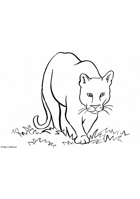 Coloriage Puma marche à imprimer dessin
