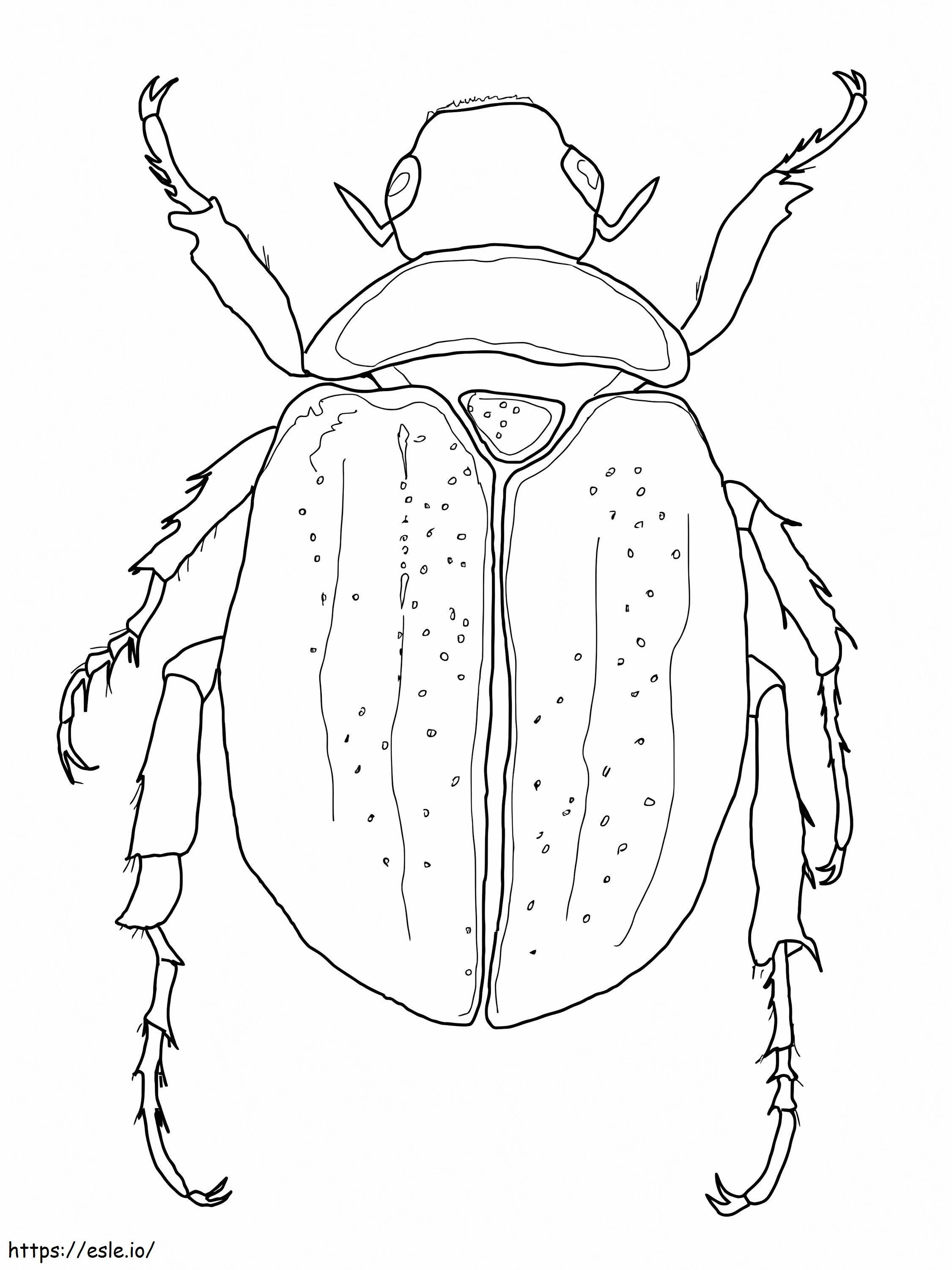 Scarab Beetle de colorat