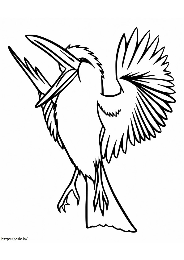 Coloriage Kookaburra à ventre roux à imprimer dessin
