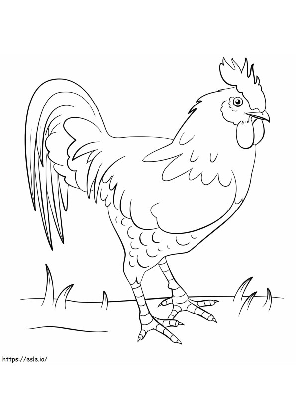 1560326194 Rooster On Grass A4 coloring page