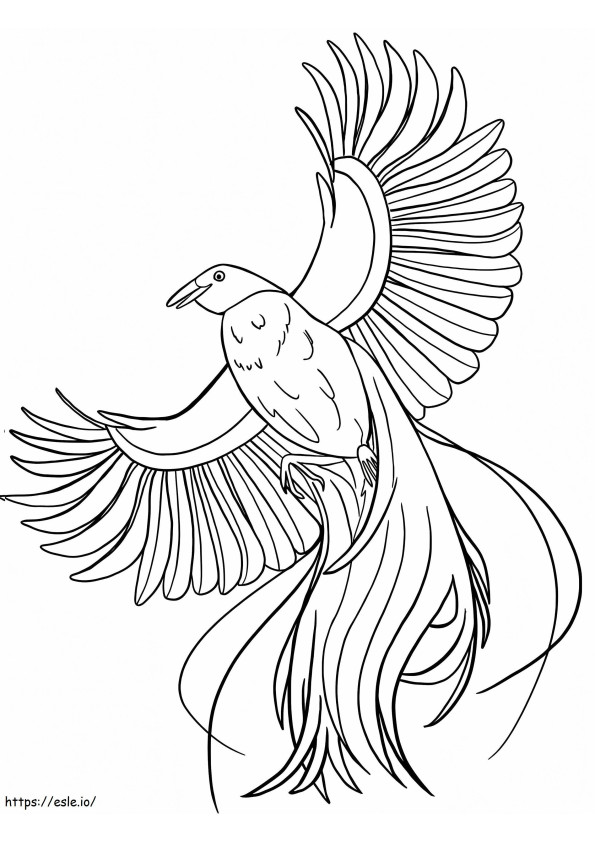 Paratiisin lintu 3 värityskuva